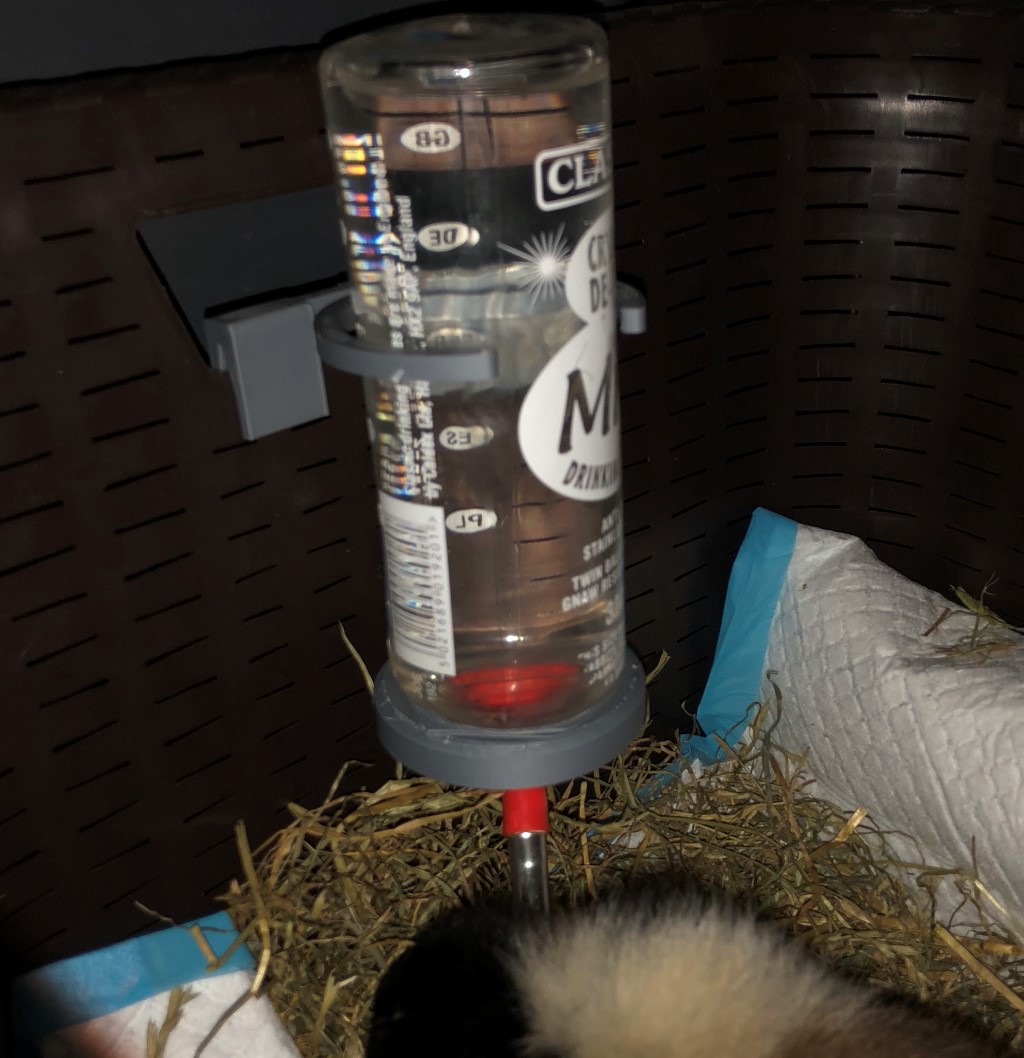 Guinea Pig bottle mount